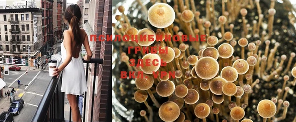 a pvp Волоколамск
