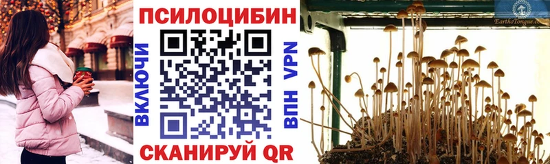 Псилоцибиновые грибы Magic Shrooms  Горнозаводск 